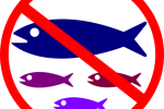 Marine Conservationists want fishing ban to stay in June